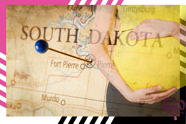 adoption in South Dakota guide